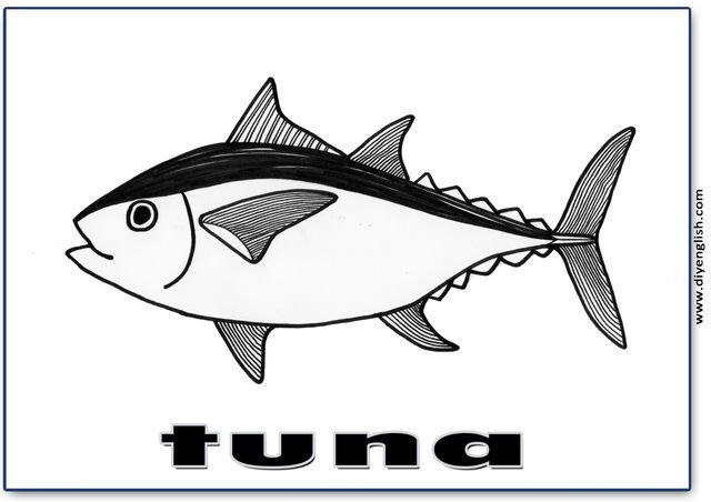 tuna – English word flashcard