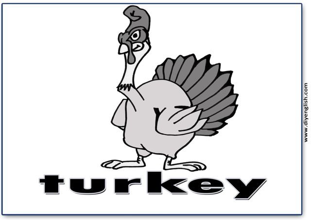 turkey – English word flashcard
