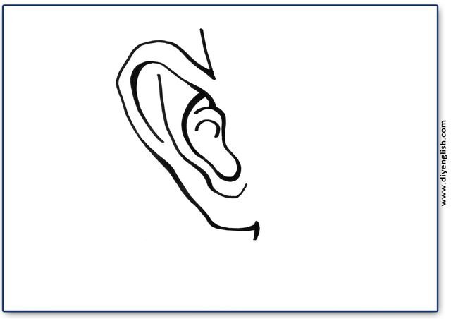 ear – Blank – colour & write flashcard