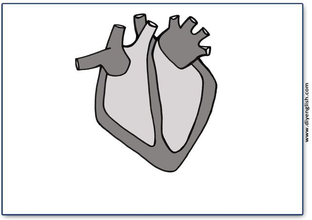 heart – Blank – colour & write flashcard