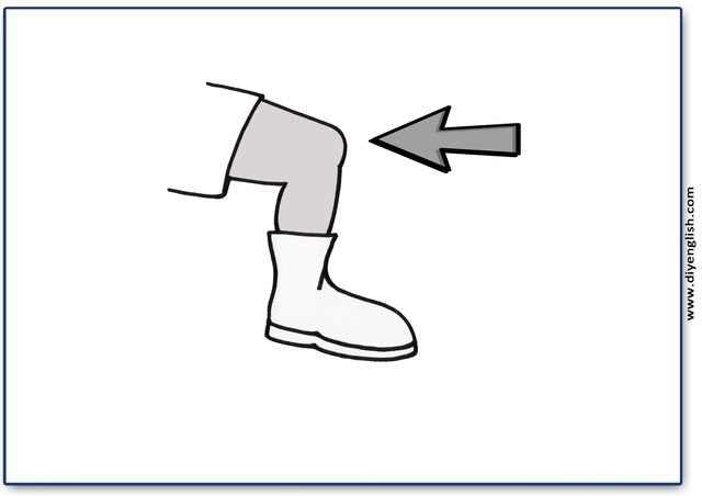 knee – Blank – colour & write flashcard