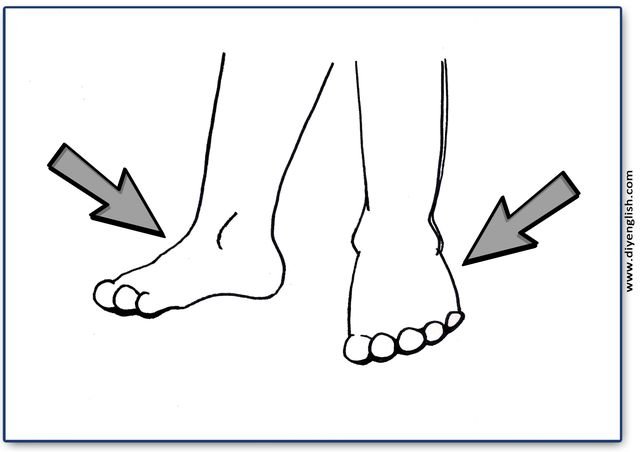 legs – Blank – colour & write flashcard