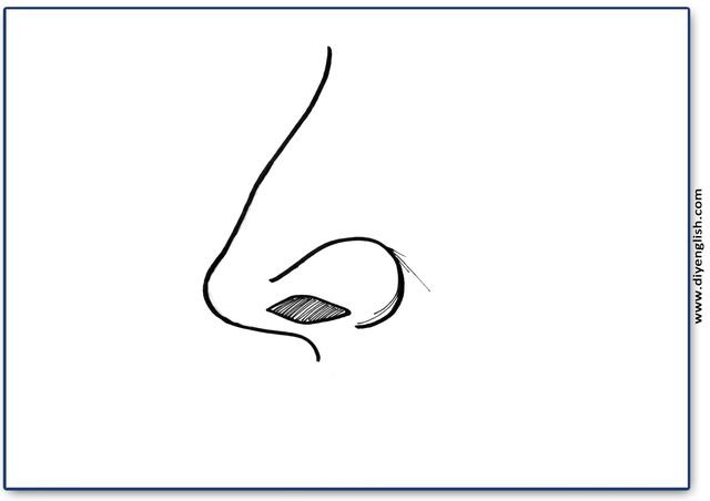 nose – Blank – colour & write flashcard
