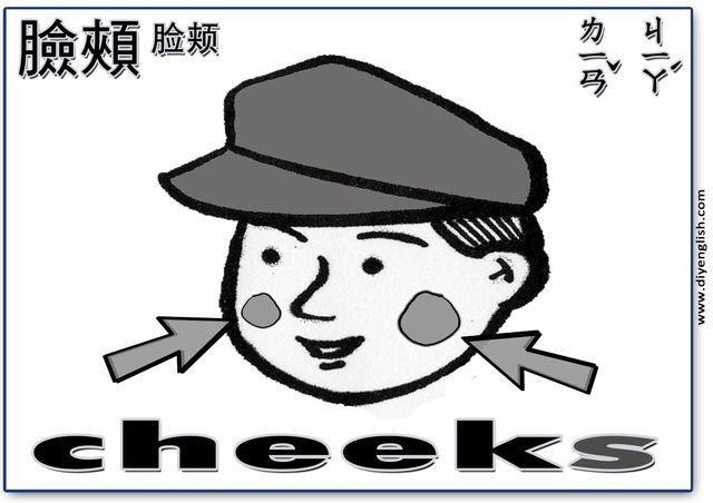 cheeks – Chinese & English flashcard
