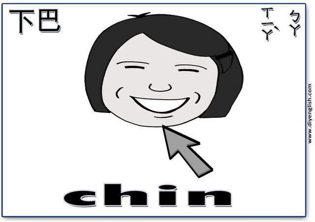 chin – Chinese & English flashcard