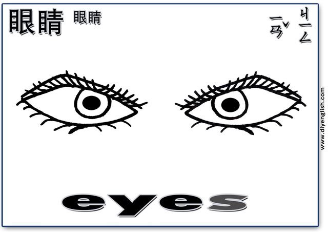 eyes – Chinese & English flashcard