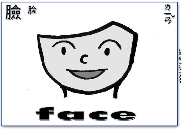 face – Chinese & English flashcard