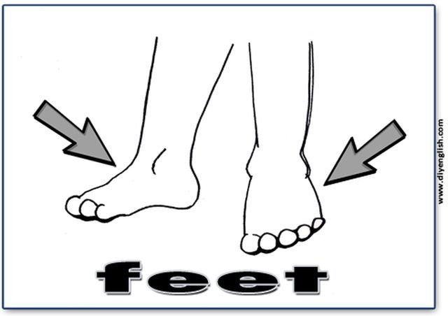 feet – Chinese & English flashcard