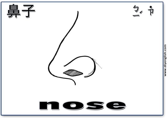 nose – Chinese & English flashcard