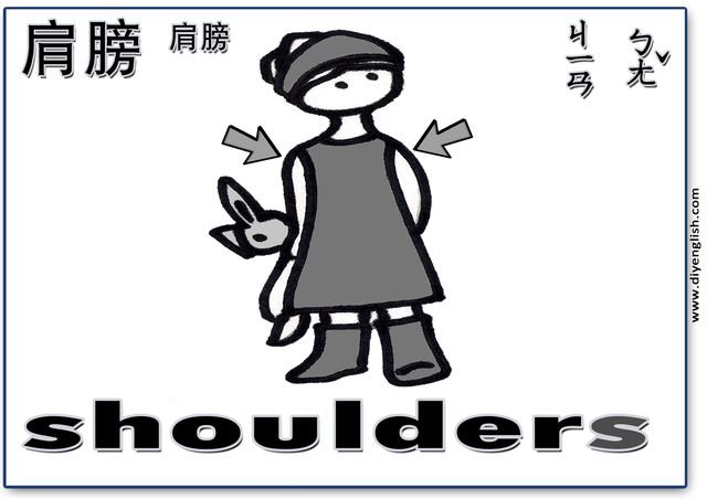 shoulder – Chinese & English flashcard