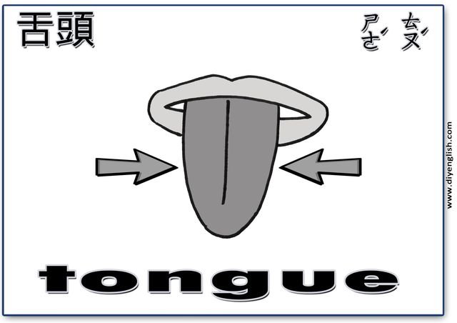 tongue – Chinese & English flashcard