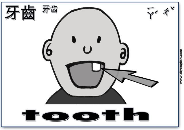 tooth – Chinese & English flashcard