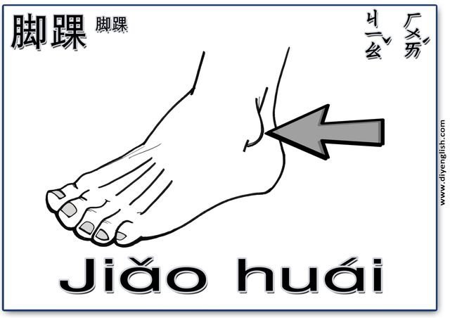 ankle – Chinese & Pinyin flashcard