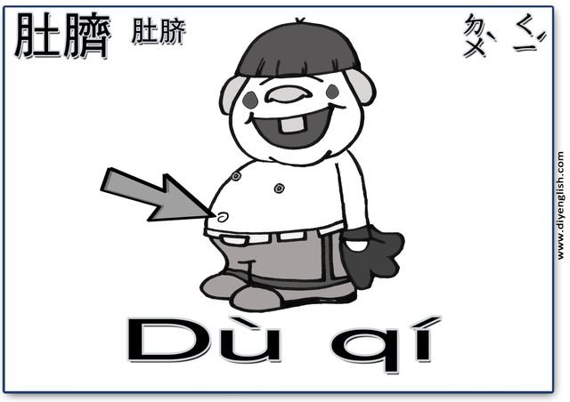 belly button – Chinese & Pinyin flashcard