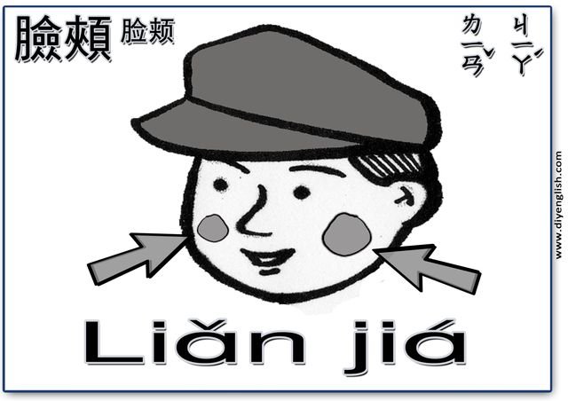 cheeks – Chinese & Pinyin flashcard