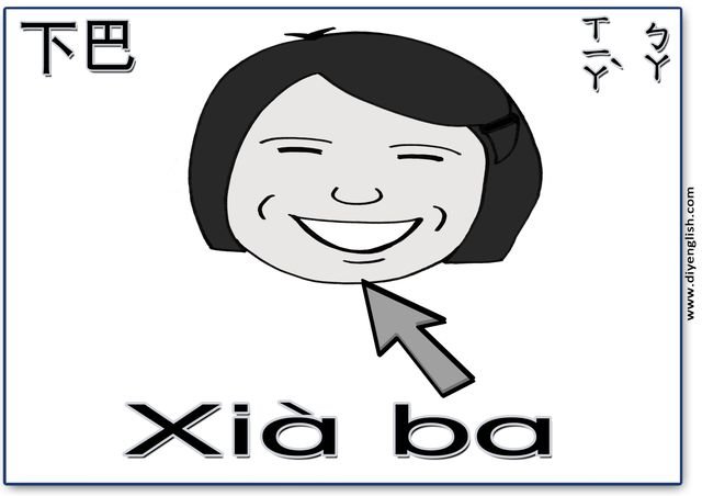 chin – Chinese & Pinyin flashcard