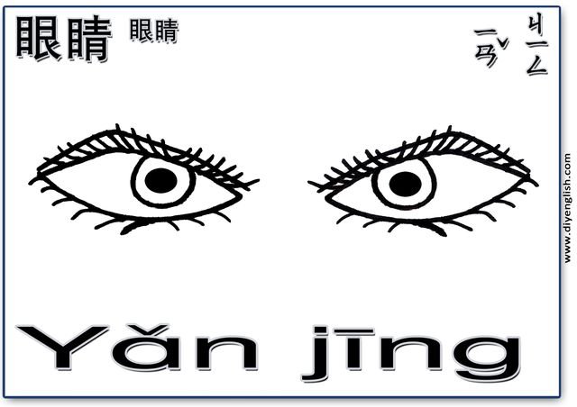 eyes – Chinese & Pinyin flashcard