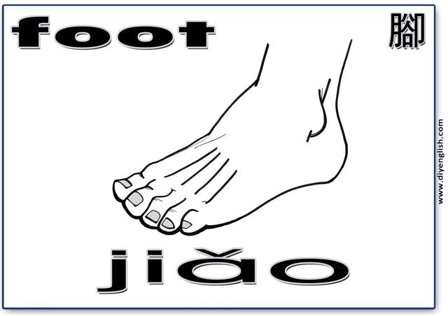 foot – Chinese & Pinyin flashcard