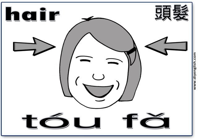 hair – Chinese & Pinyin flashcard