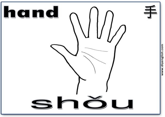 hand – Chinese & Pinyin flashcard