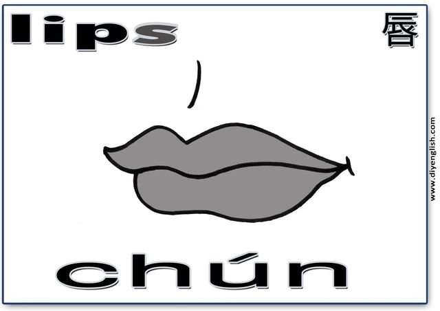 lips – Chinese & Pinyin flashcard