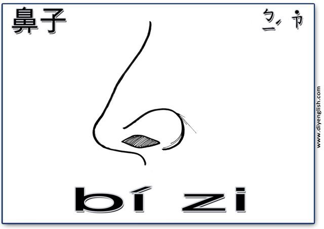 nose – Chinese & Pinyin flashcard