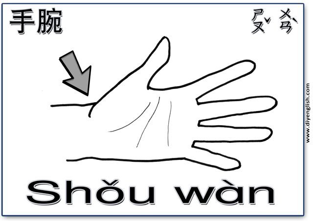 wrist – Chinese & Pinyin flashcard
