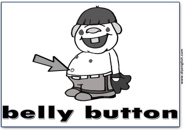 belly button – English word flashcard
