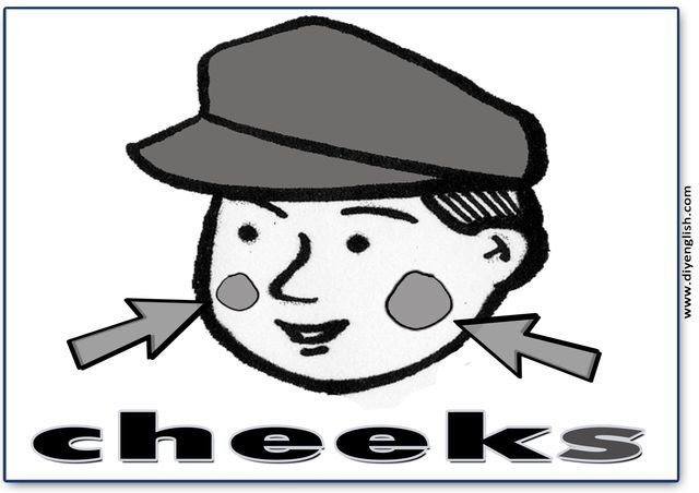 cheeks – English word flashcard