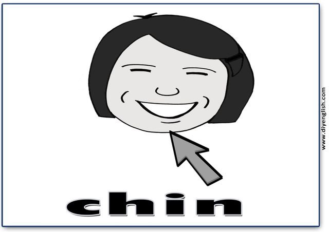 chin – English word flashcard