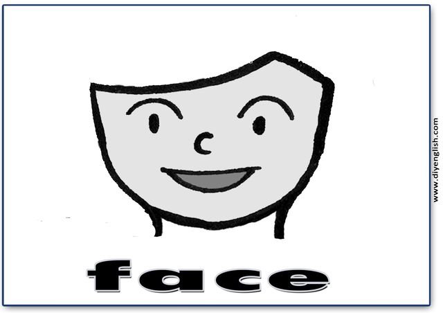 face – English word flashcard