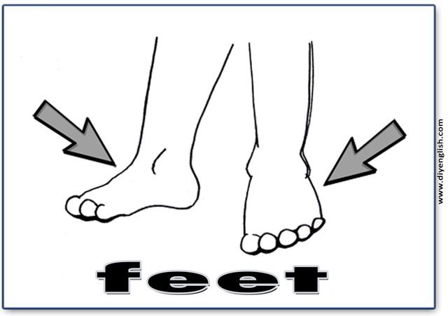 feet – English word flashcard