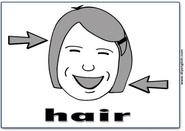 hair – English word flashcard