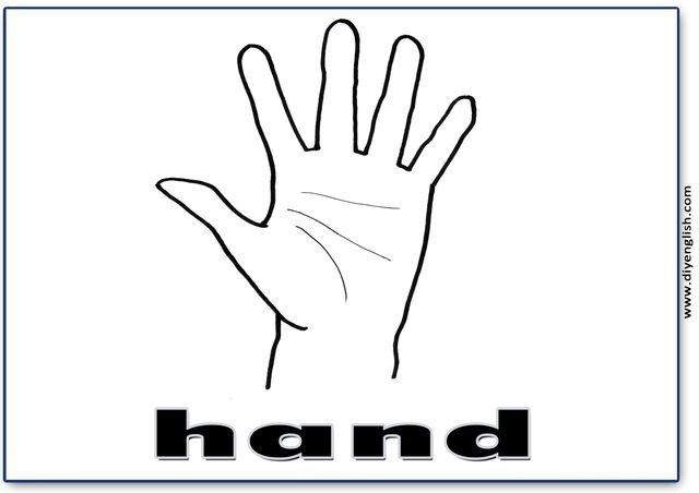 hand – English word flashcard