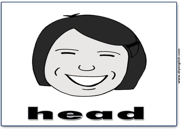 head – English word flashcard