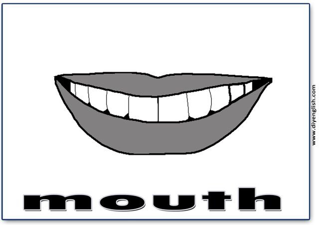 mouth – English word flashcard