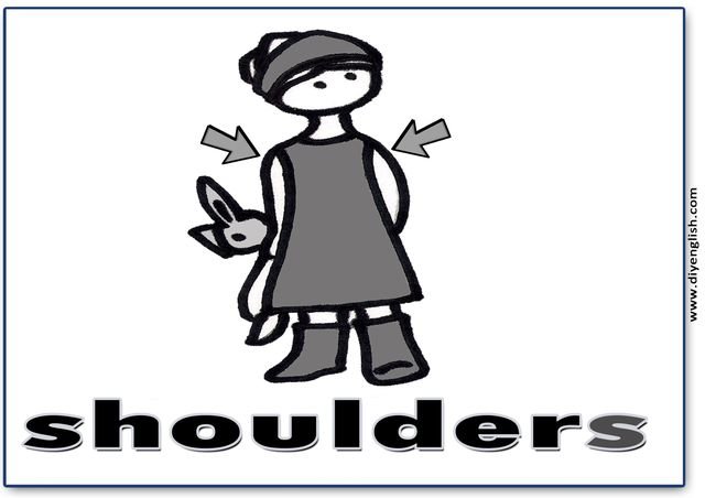 shoulder – English word flashcard