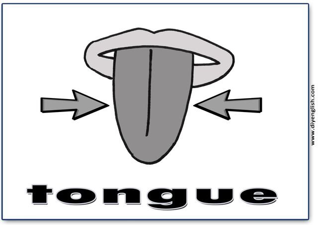 tongue – English word flashcard