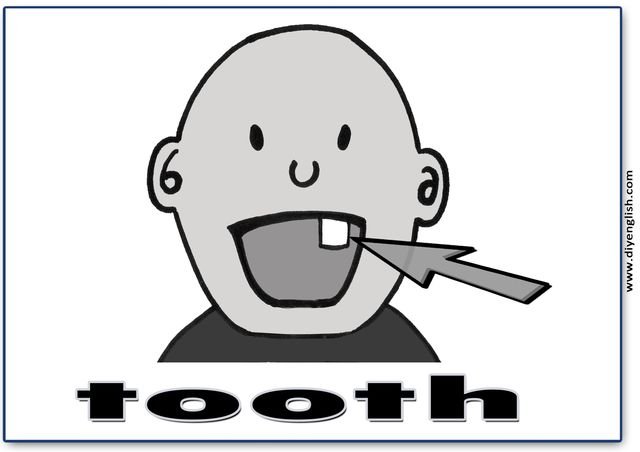 tooth – English word flashcard