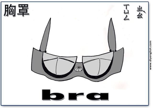 bra – Chinese & English flashcard