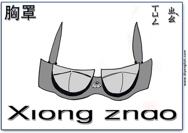 bra – Chinese & Pinyin flashcard