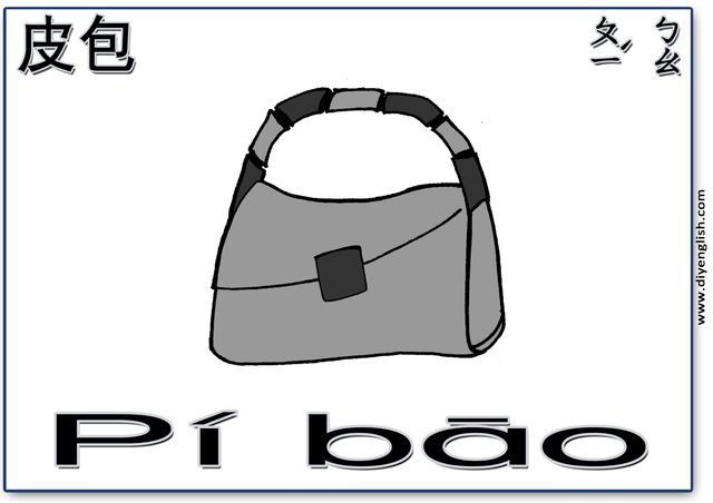 purse – Chinese & Pinyin flashcard