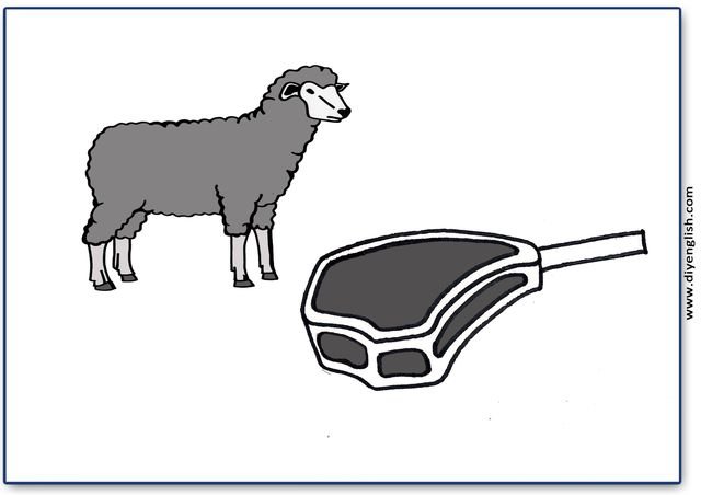 mutton – Blank – colour & write flashcard