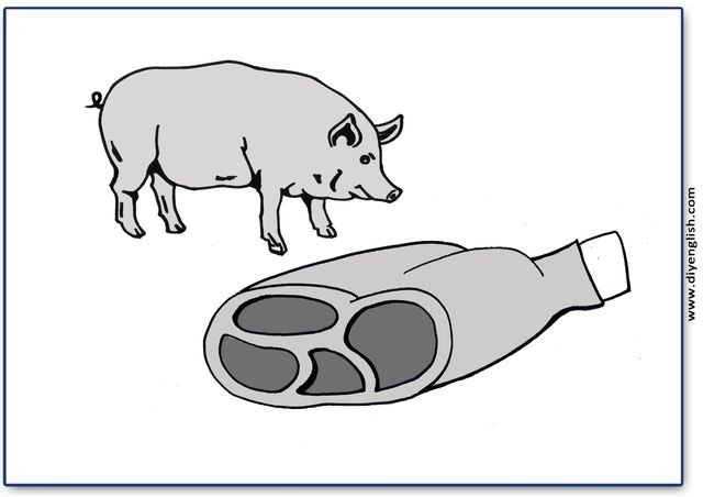 pork – Blank – colour & write flashcard