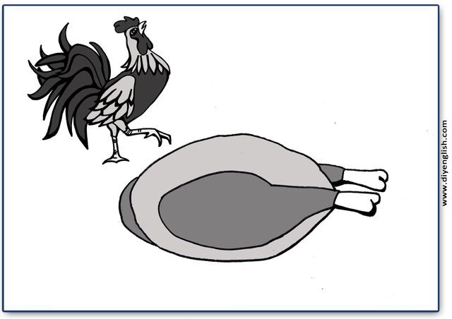 poultry – Blank – colour & write flashcard