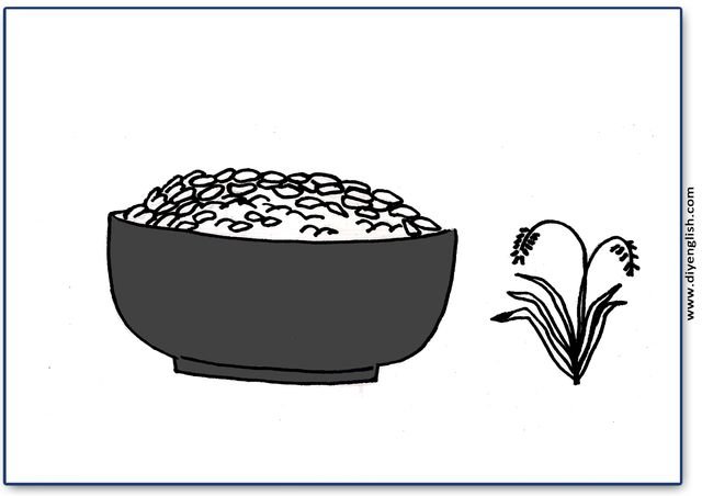 rice – Blank – colour & write flashcard