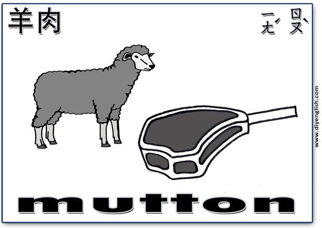 mutton – Chinese & English flashcard