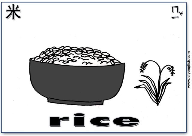 rice – Chinese & English flashcard