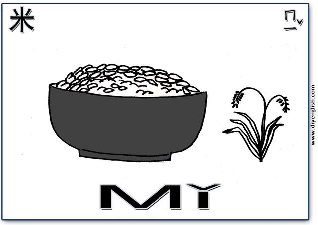 rice – Chinese & Pinyin flashcard