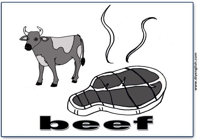 beef – English word flashcard